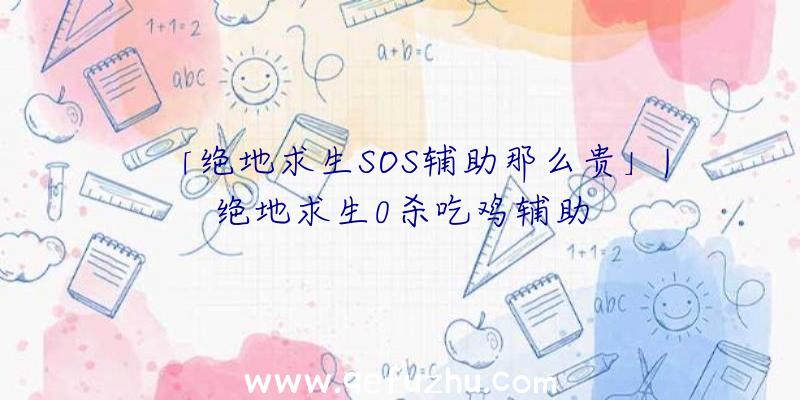 「绝地求生SOS辅助那么贵」|绝地求生0杀吃鸡辅助